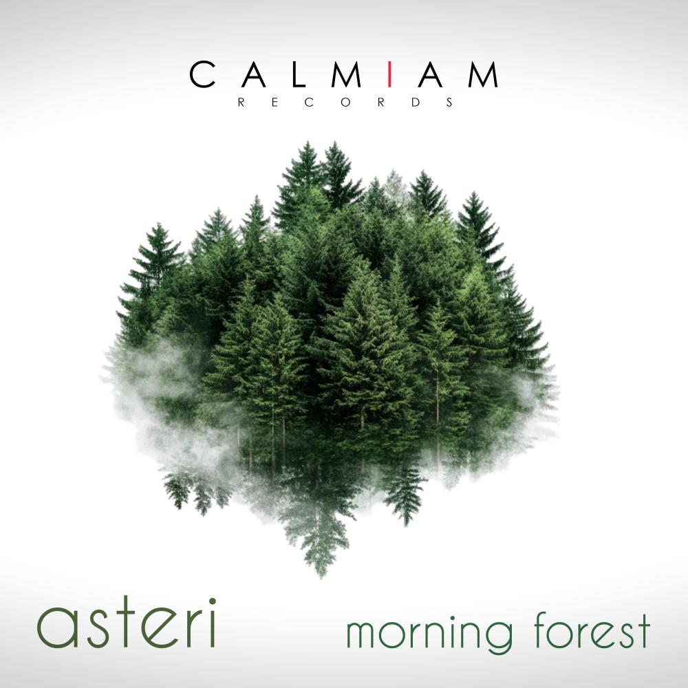morning forest