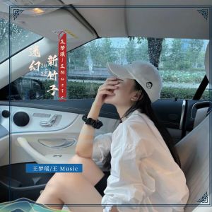 Listen to 我是黄飞鸿 (2022 Remix) song with lyrics from 王梦瑶