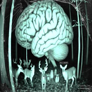 收聽KILLMATTER的ACT 1 (Explicit)歌詞歌曲