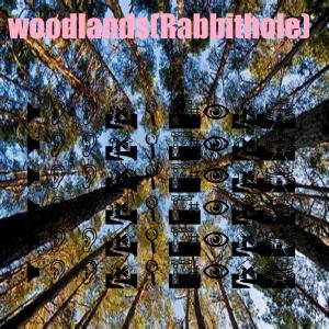 Lips的專輯Woodlands(Rabbithole) (Explicit)