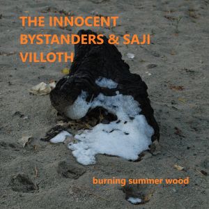 Listen to BURNING SUMMER WOOD song with lyrics from The Innocent Bystanders
