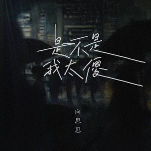 收聽向思思的是不是我太傻歌詞歌曲