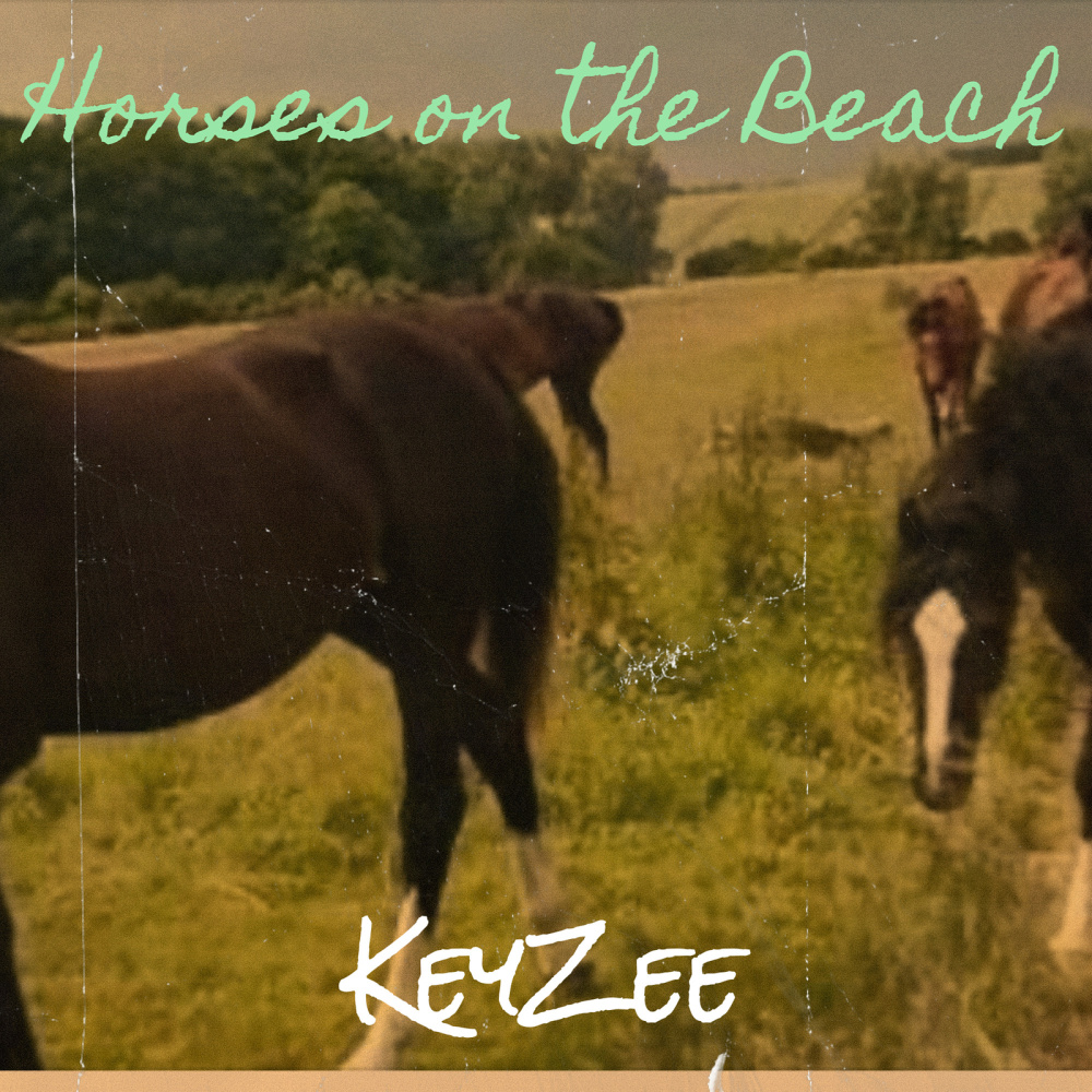 Horses on the Beach