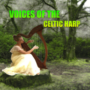 Andreus Frote的專輯Voices of the Celtic Harp