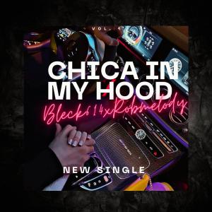 ดาวน์โหลดและฟังเพลง Chica In My Hood (feat. Rob Melody) พร้อมเนื้อเพลงจาก Bleck614