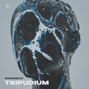 Album Tripudium from Robinbeat