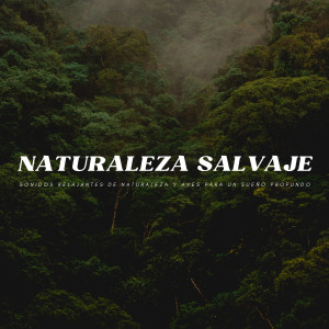 Dormir的專輯Naturaleza Salvaje: Sonidos Relajantes De Naturaleza y Aves Para Un Sueño Profundo