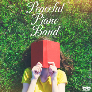Peaceful Piano Band, Vol. 41