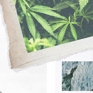 Cam Meekins的专辑The Life of Cam Meekins, Pt. 7 (Explicit)