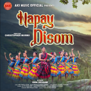 Napay Disom