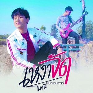 Album เหงาจัด (คาราโอเกะ) from โทนี่ แปดแสนซาวด์