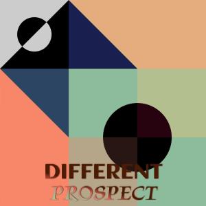 อัลบัม Different Prospect ศิลปิน Various