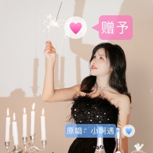 Listen to 赠予（复合版） (伴奏) song with lyrics from 小啊遇