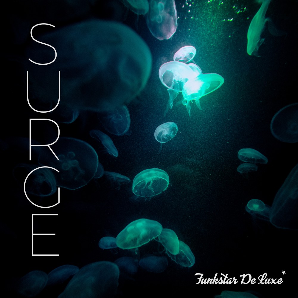 Surge