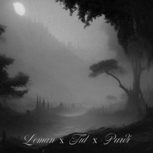 收聽Leman.msb的Dans la Brume (feat. Tid & Pardi) (Explicit)歌詞歌曲