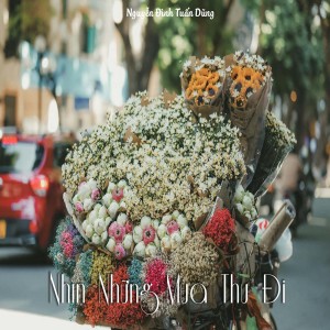 收听Nguyễn Đình Tuấn Dũng的Nhìn Những Mùa Thu Đi歌词歌曲