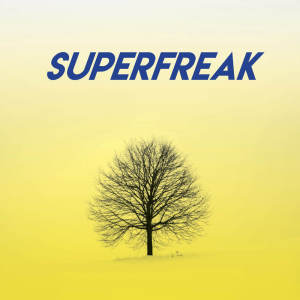 Dengarkan lagu Superfreak nyanyian CDM Project dengan lirik