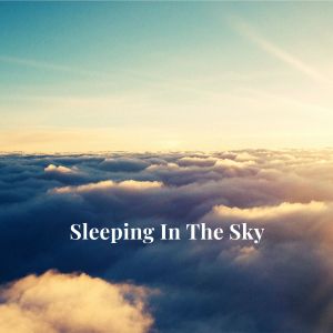 อัลบัม Sleeping in the Sky ศิลปิน The White Noise Zen