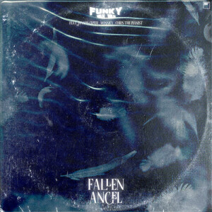 ดาวน์โหลดและฟังเพลง Fallen Angel พร้อมเนื้อเพลงจาก Funky Wah Wah