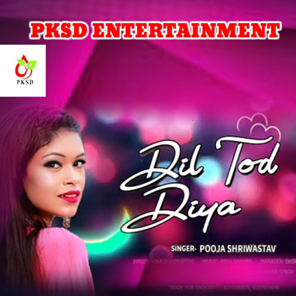 Dil Tod Diya (Hindi)