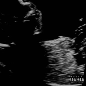 Album First Born (Explicit) from 