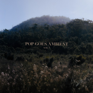 Album Volume 1 from Pop Goes Ambient