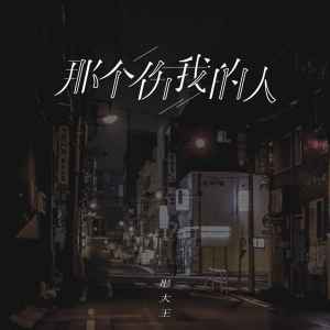 收聽彤大王的那個傷我的人歌詞歌曲