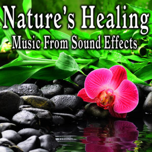 收聽Nature Sounds的Tranquil Day at the Spa with Clean Flowing River Water歌詞歌曲