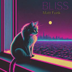 Matt Funk的專輯BLISS