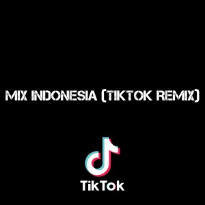 Listen to Mix Indonesia (Tiktok Remix) song with lyrics from Dj TikTok Indonesia Viral