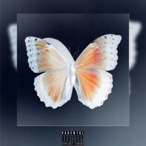 收听Strxtch的Wont Go (Explicit)歌词歌曲