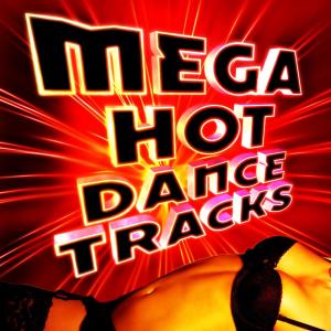 ดาวน์โหลดและฟังเพลง How Long Will I Love You (Official Club Party) พร้อมเนื้อเพลงจาก Dance Party Hit All-Stars