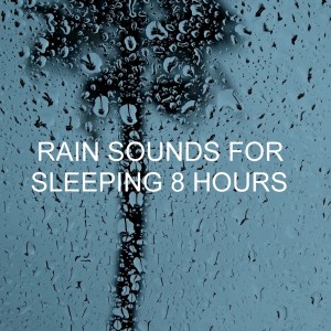 อัลบัม Rain Sounds for Sleeping 8 Hours ศิลปิน Mother Nature Sound FX