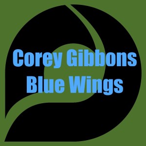 ดาวน์โหลดและฟังเพลง Blue Wings พร้อมเนื้อเพลงจาก Corey Gibbons