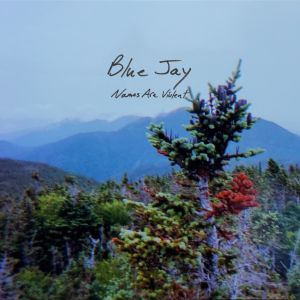 Listen to Blue Jay song with lyrics from Names Are Violent