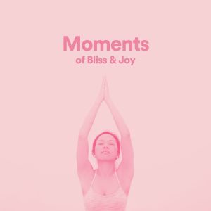 Album Moments of Bliss & Joy oleh Relaxing Spa Music