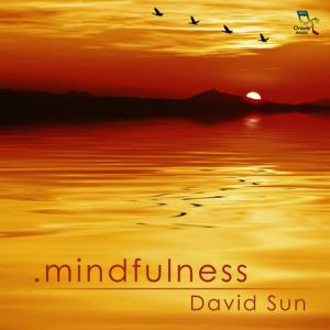 收聽David Sun的Mindfulness歌詞歌曲
