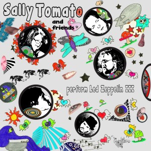 ดาวน์โหลดและฟังเพลง Immigrant Song พร้อมเนื้อเพลงจาก Sally Tomato