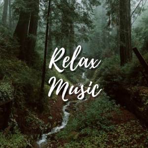 Peaceful Relaxation的專輯Relaxing Music, Study Music