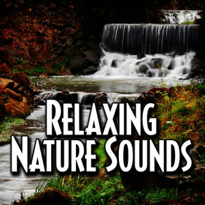 收聽Relax Meditate Sleep的Thunderstorm Ambience for Natural Relaxation with Nature Sound歌詞歌曲