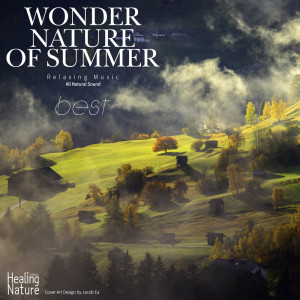 ดาวน์โหลดและฟังเพลง Relaxing Nature Sound 4 พร้อมเนื้อเพลงจาก 힐링 네이쳐 Nature Sound Band