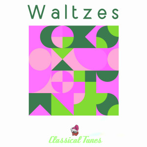 Album The Best Waltzes Collection from Edoardo Brugnoli