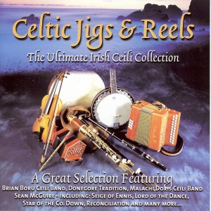 ดาวน์โหลดและฟังเพลง The Mooncoin / The Sally Gardens / Colonel Rodney / Maid Behind the Bar พร้อมเนื้อเพลงจาก Donegore Tradition