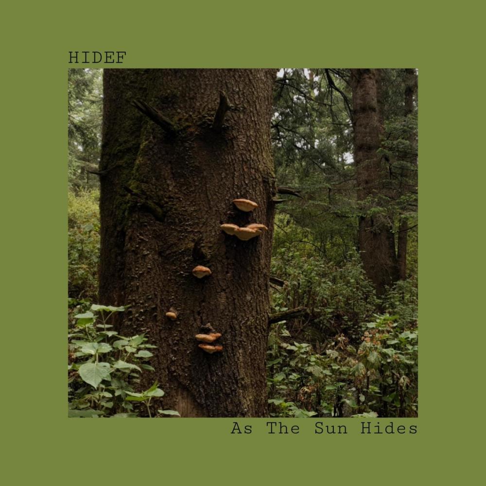 As The Sun Hides
