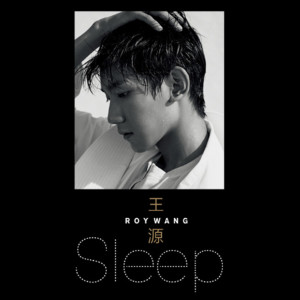 ดาวน์โหลดและฟังเพลง Sleep พร้อมเนื้อเพลงจาก Roy Wang (TFBOYS)