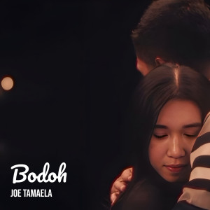 Album Bodoh from Joe Tamaela