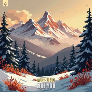 ดาวน์โหลดและฟังเพลง Like You (Original Mix) พร้อมเนื้อเพลงจาก Alex Field