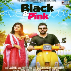 ดาวน์โหลดและฟังเพลง Black & Pink พร้อมเนื้อเพลงจาก Camey Gill