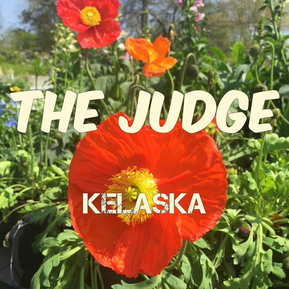 The Judge