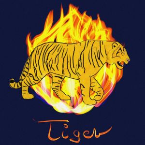 Album Tiger from 